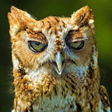 Profile picture for user Match25