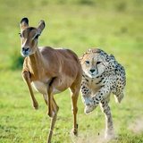 Profile picture for user elpropio