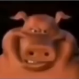 Profile picture for user file_corrupted_403