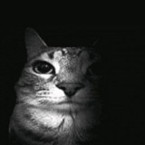 Profile picture for user Tu_kpxdd