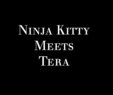 Porn authors art Ninjakitty
