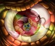 Porn authors art Otakuap