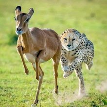 Profile picture for user elpropio