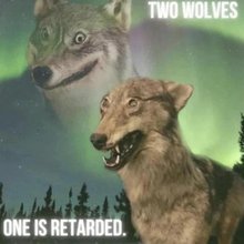 Profile picture for user AlabamaMemeBoi