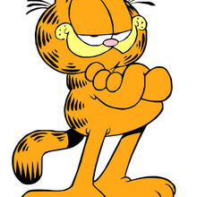 Profile picture for user Garfield