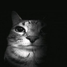 Profile picture for user Tu_kpxdd