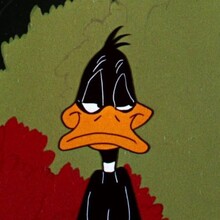 Profile picture for user Daffy Duck