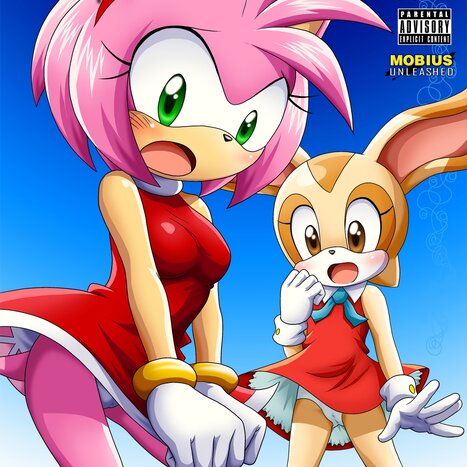 A Sparring Session Porn comic Cartoon porn comics on Sonic the Hedgehog