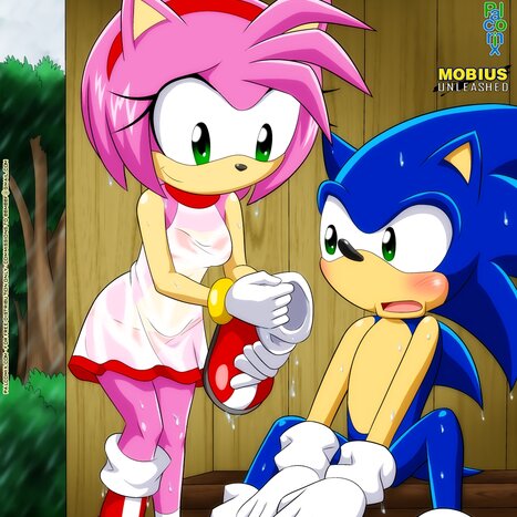 Fun On A Rainy Day Porn comic Cartoon porn comics on Sonic the Hedgehog