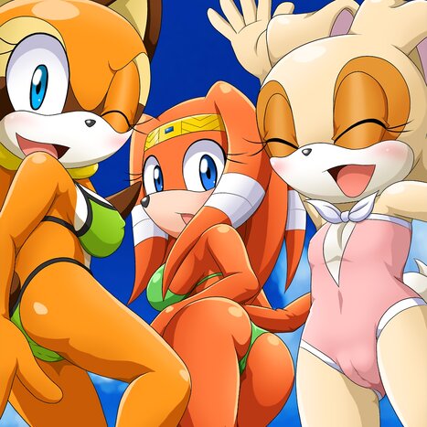 Poolside Fun Porn comic Cartoon porn comics on Sonic the Hedgehog