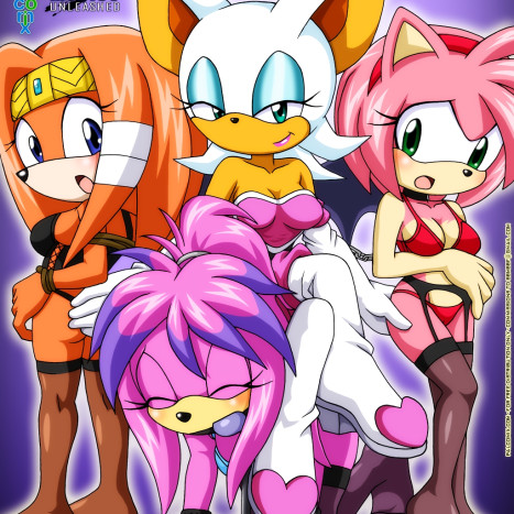 Rouge&#039;s Toys Porn comic Cartoon porn comics on Sonic the Hedgehog