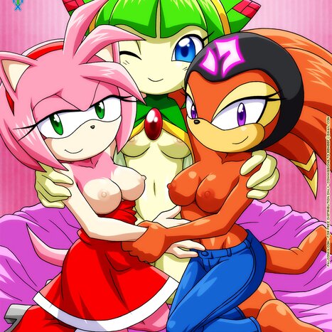 When The Guys Are Away Porn comic Cartoon porn comics on Sonic the Hedgehog