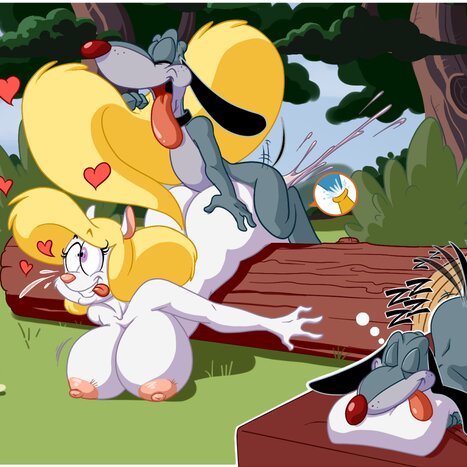 Animaniacs Porn pictures, Cartoon porn sex pics Rule 34