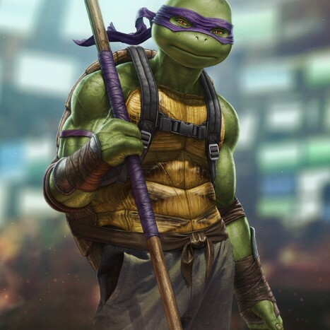 Donatello porn comics