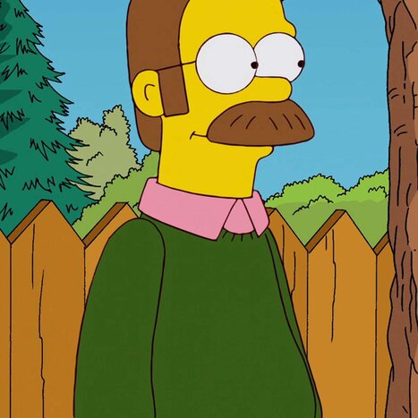 Ned Flanders porn comics
