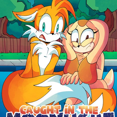 Caught in the Moonlight Porn comic Cartoon porn comics on Sonic the Hedgehog
