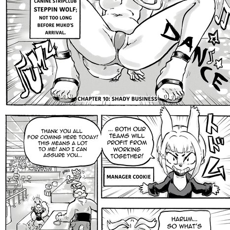 Furry Fight Chronicles 10 - 20 Porn comic Cartoon porn comics on Furry