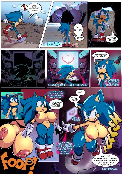 Legacy - Sonic Rule 63 Porn comic Cartoon porn comics on Sonic the Hedgehog