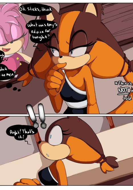 Stick&#039;s Party Porn comic Cartoon porn comics on Sonic the Hedgehog