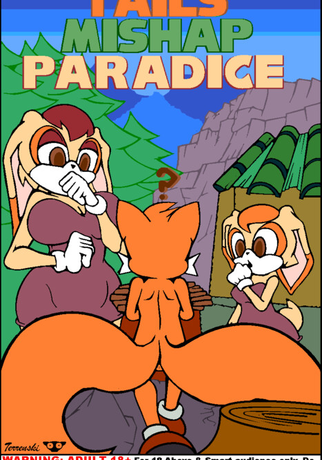 Tails Mishap Paradice Porn comic Cartoon porn comics on Sonic the Hedgehog