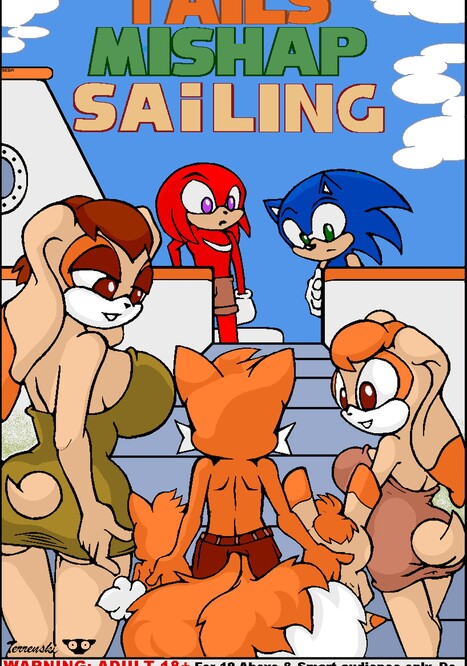 Tails Mishap Sailing Porn comic Cartoon porn comics on Sonic the Hedgehog