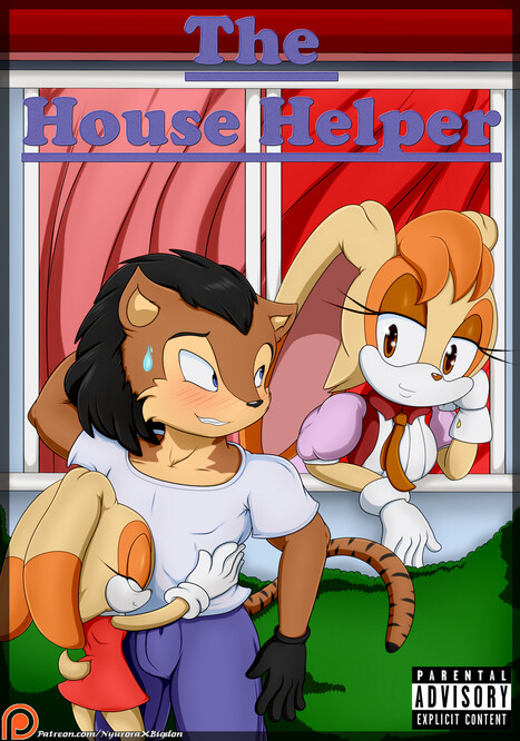 The House Helper Porn comic Cartoon porn comics on Sonic the Hedgehog